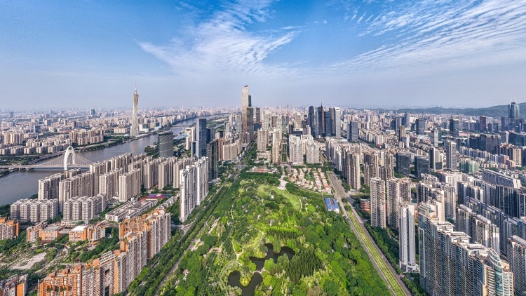 2025世界粤商大会来了，粤商们有哪些新期待？