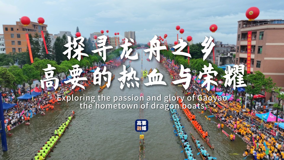 Exploring the passion and glory of Gaoyao, the hometown of dragon boats
