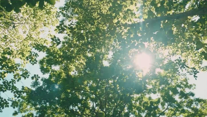 如何健康过夏？国家卫生健康委提供指引