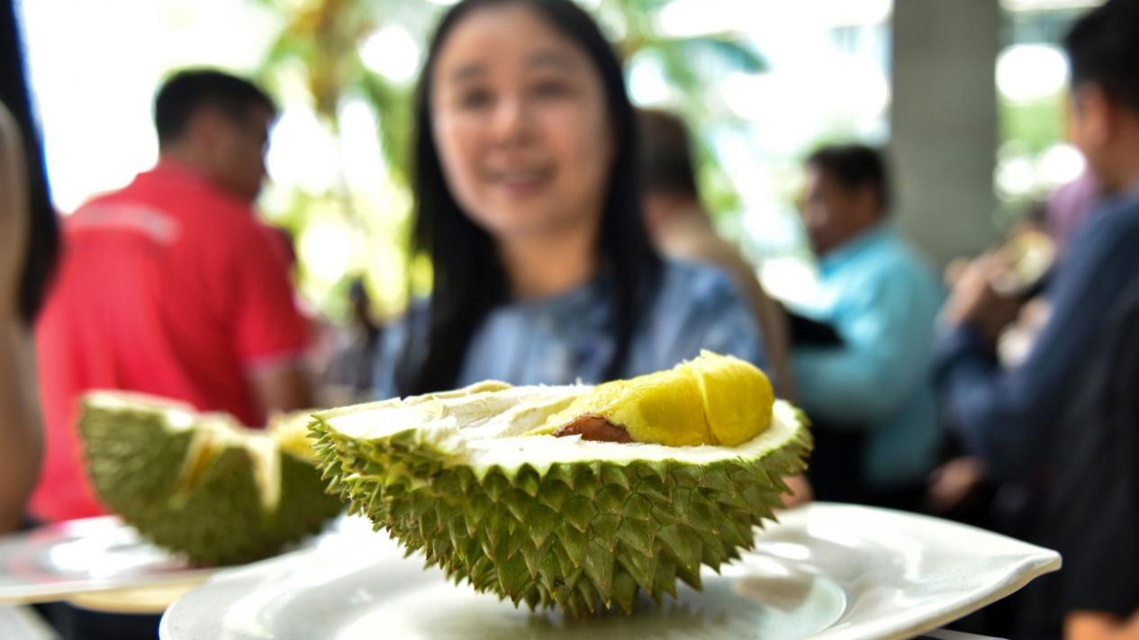 China, ASEAN countries launch durian sci-tech innovation alliance for collaboration