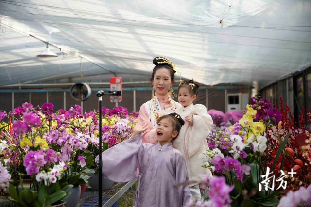 1月20日，广东佛山，主播小雅身着汉服与女儿一起进行兰花带货直播。