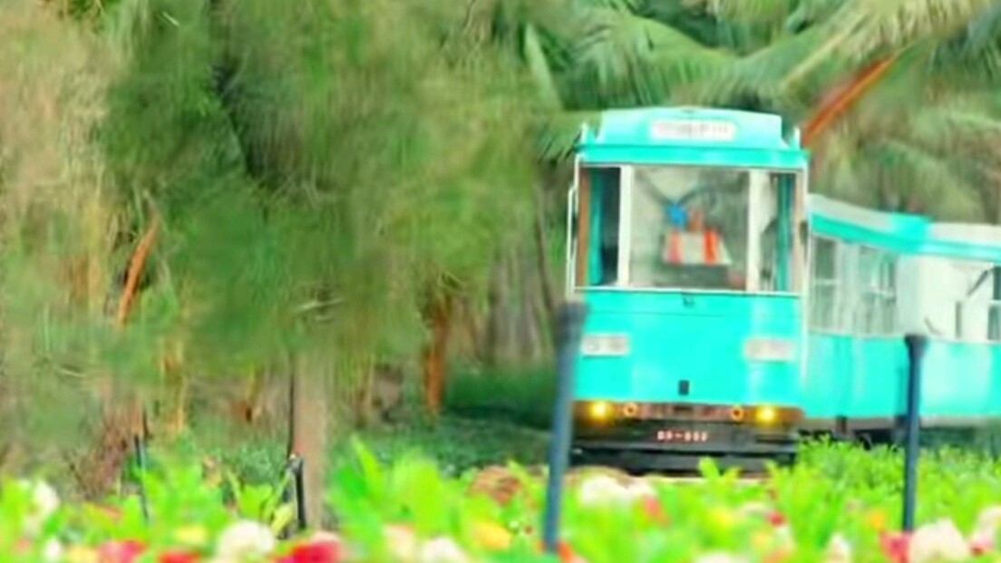 Maoming's Nanhai Island becomes a renowned destination for wedding photography