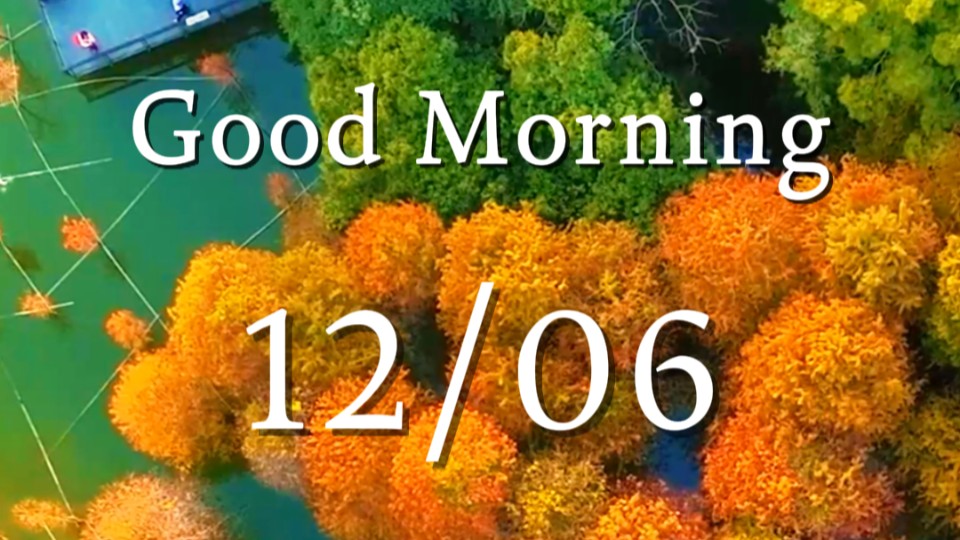 Amid bald cypresses standing between clouds and water, heart finds peace in morning light