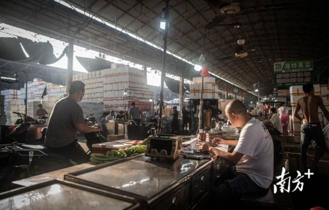 11月7日清晨6时许，广州江南市场的批发商陈育勉，正在向来往的客户销售菠菜。