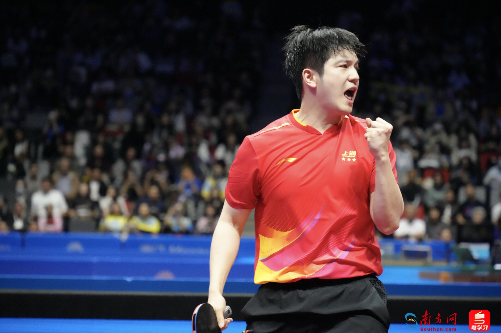 樊振东在比赛中。