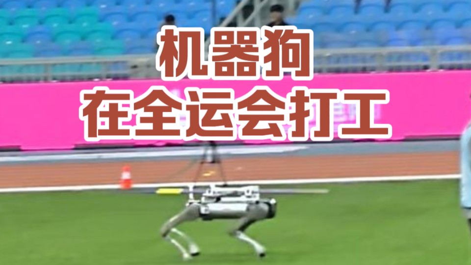 全运时刻｜机器狗在全运会打工，小步快跑送标枪
