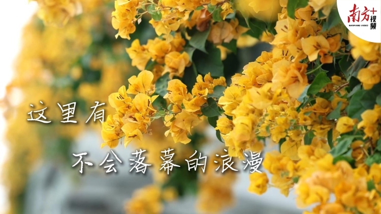 这里，藏着广州不会落幕的浪漫