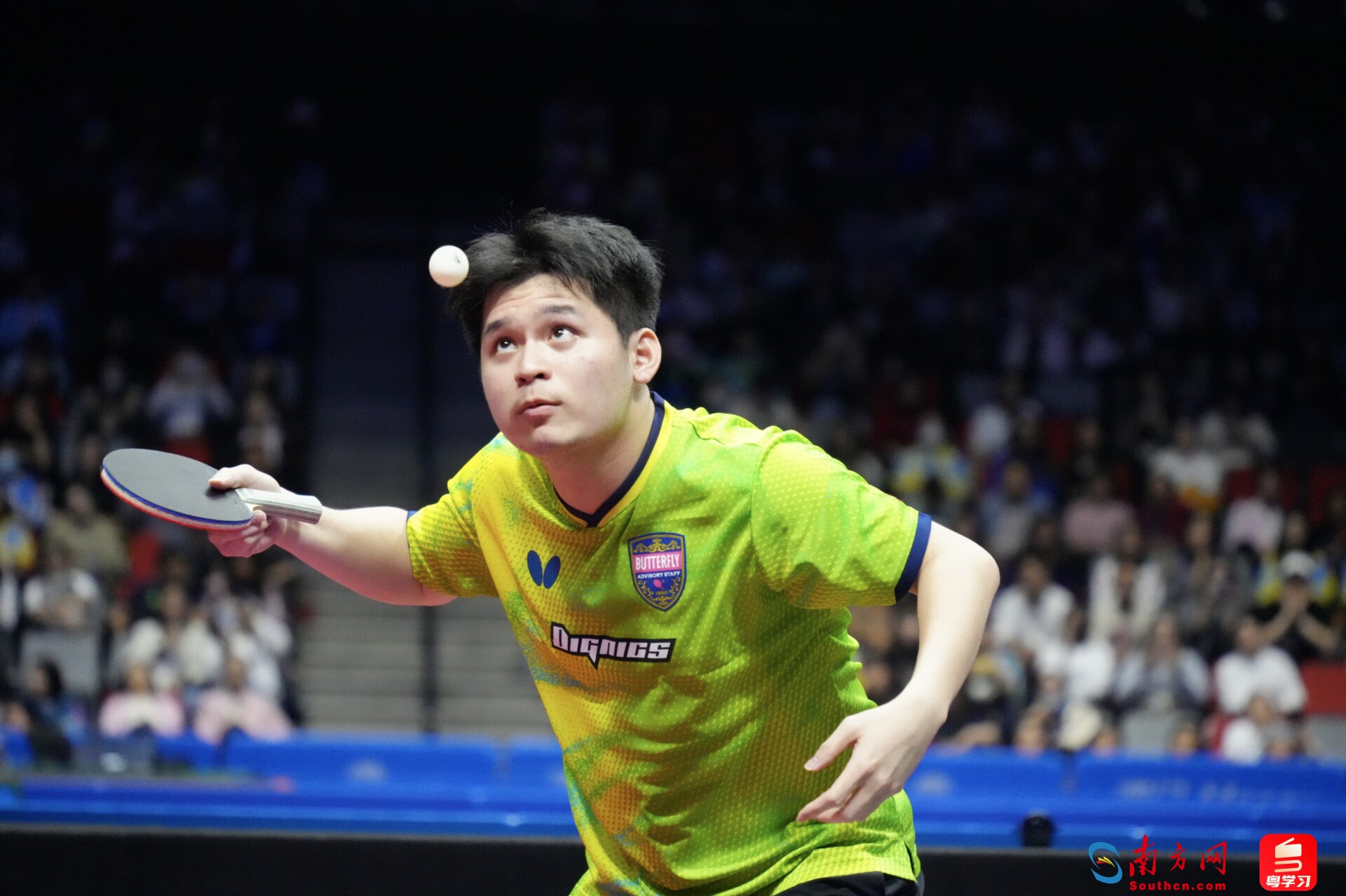 林诗栋在比赛中。<p indenttext=