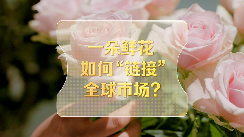 改革者 正青春｜一朵鲜花如何“链接”全球市场？