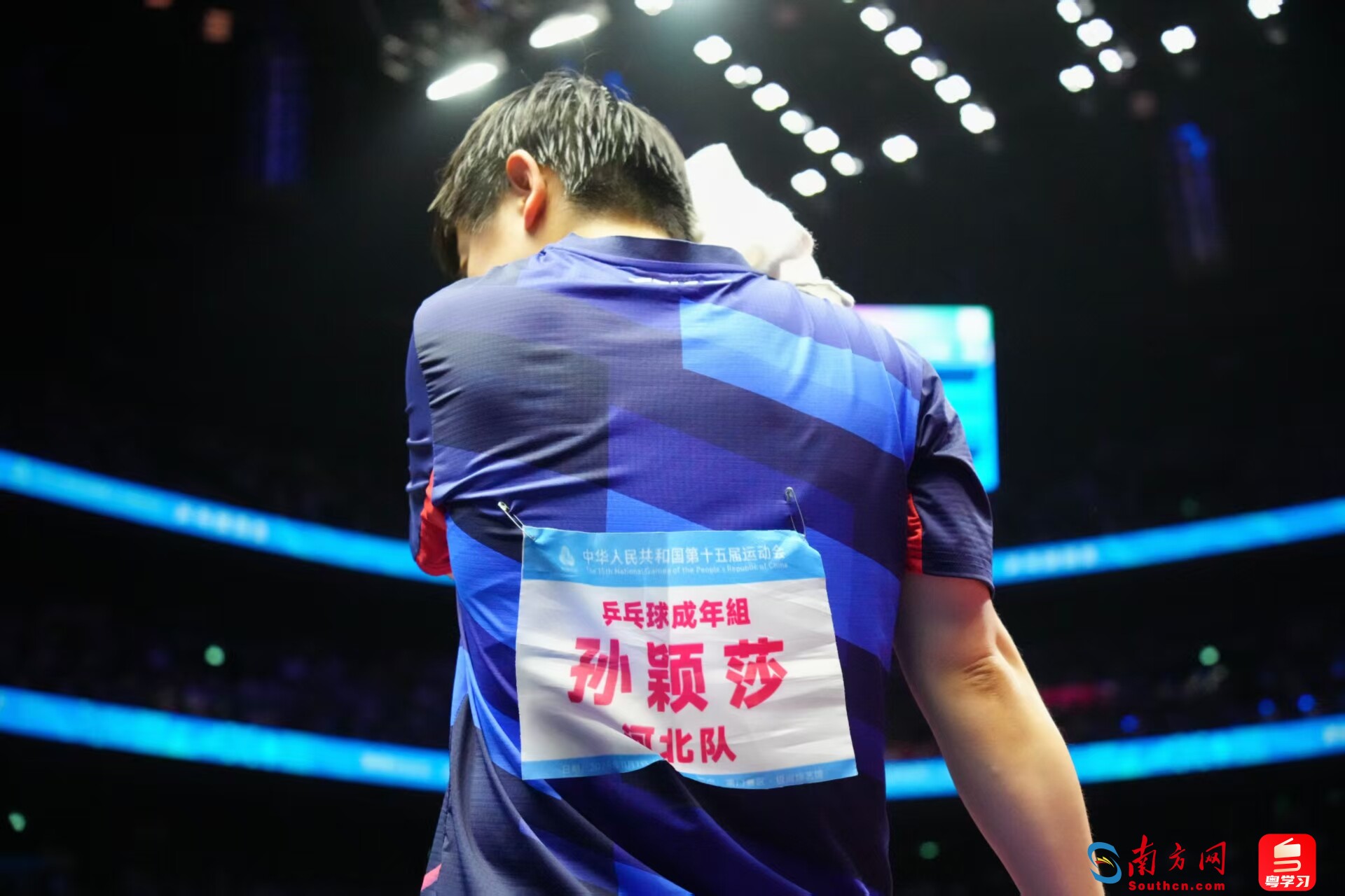 孙颖莎在比赛中。十五运会乒乓球男子单打、票价乓球