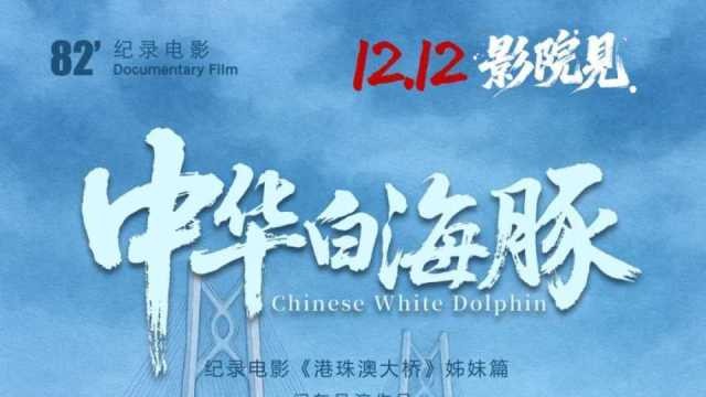 吉祥物原型“拍片”了！纪录电影《中华白海豚》12月12日全国上映