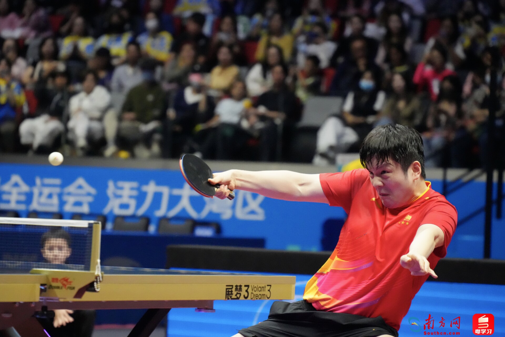 樊振东在比赛中。十五运会乒乓球男子单打、票价乓球