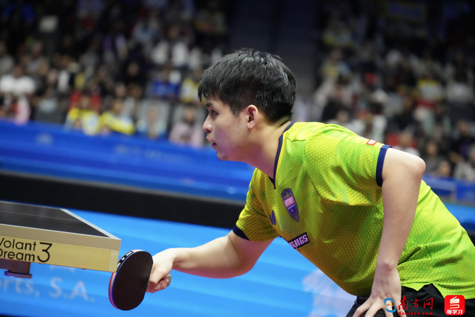 林诗栋在比赛中。粤学习记者 黄慧诗</p>值回之战<p indenttext=