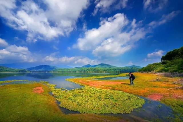 广州在全国六省九地绿色金改创新试验区成效自评价中，连续多次排名第一。