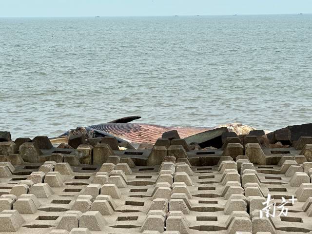 汕头海面出现一鲸鱼尸体，相关部门呼吁市民别前往围观