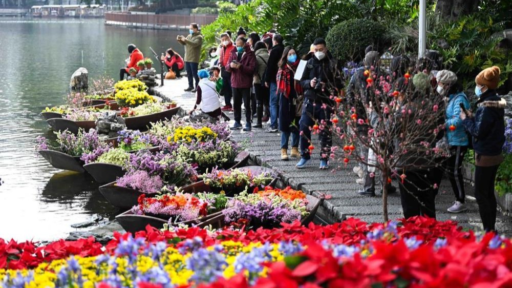 花开岭南待客来——“请到广东过大年”侧记