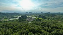 广东加强古树名木保护 2027年全省将建成古树公园100个 广东加强古树名木保护 2027年全省将建成古树公园100个