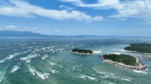生猛海鲜向你游来!直击广东各地开渔现场 生猛海鲜向你游来!直击广东各地开渔现场