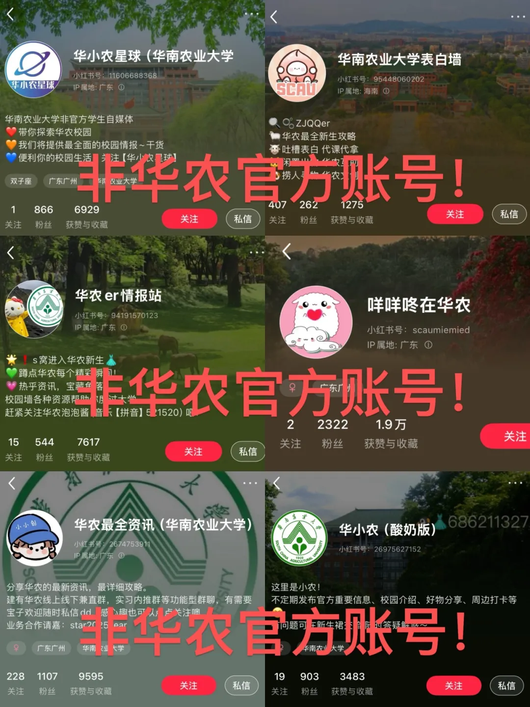 部分非华农官方的小红书账号