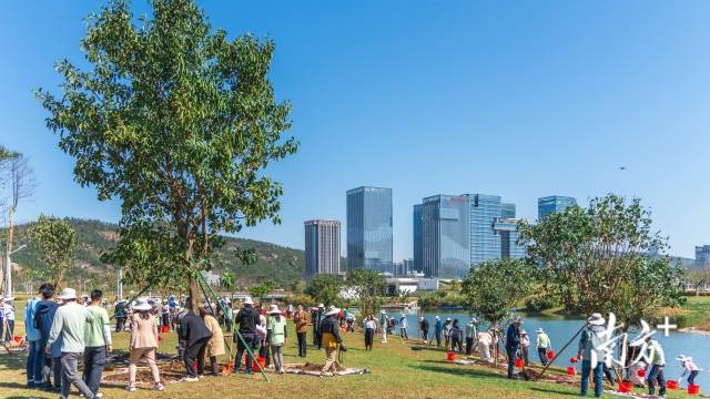 广东各地开展义务植树活动 片片新绿绘出美丽广东新图景