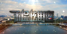 《利剑雄鹰》 《利剑雄鹰》