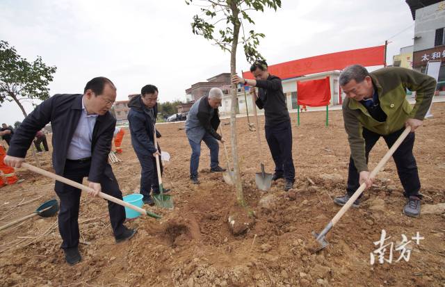 南方报业传媒集团联合省林业局开展义务植树活动