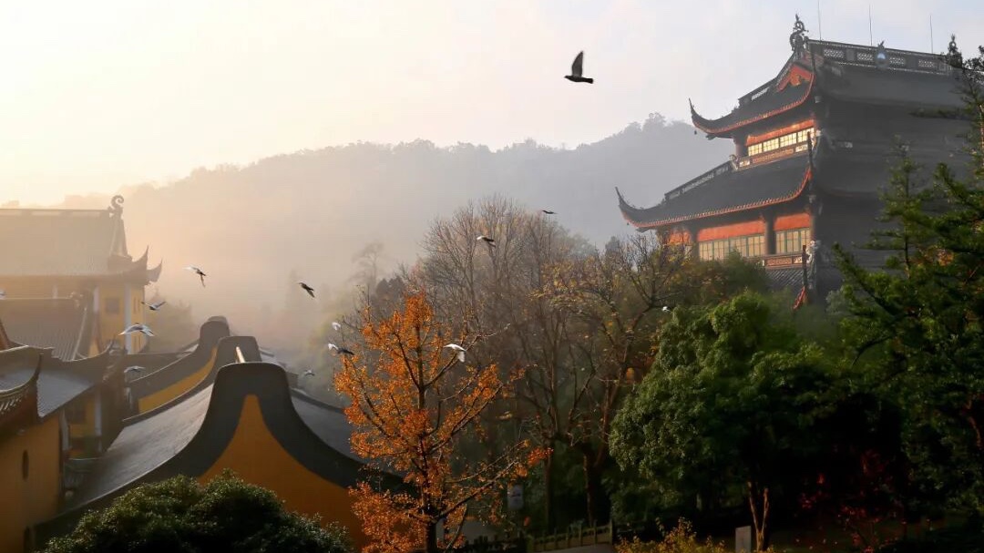 灵隐寺景区 免票赚大钱