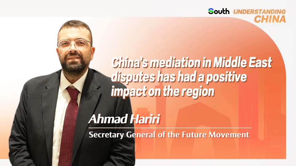 China and Lebanon can advance Middle East peace through development: Future Movement SG