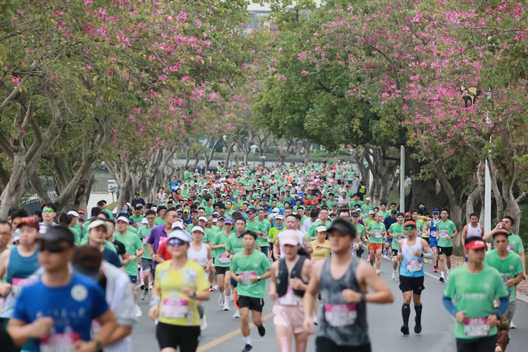 肇庆市融媒体中心记者 刘春林 摄