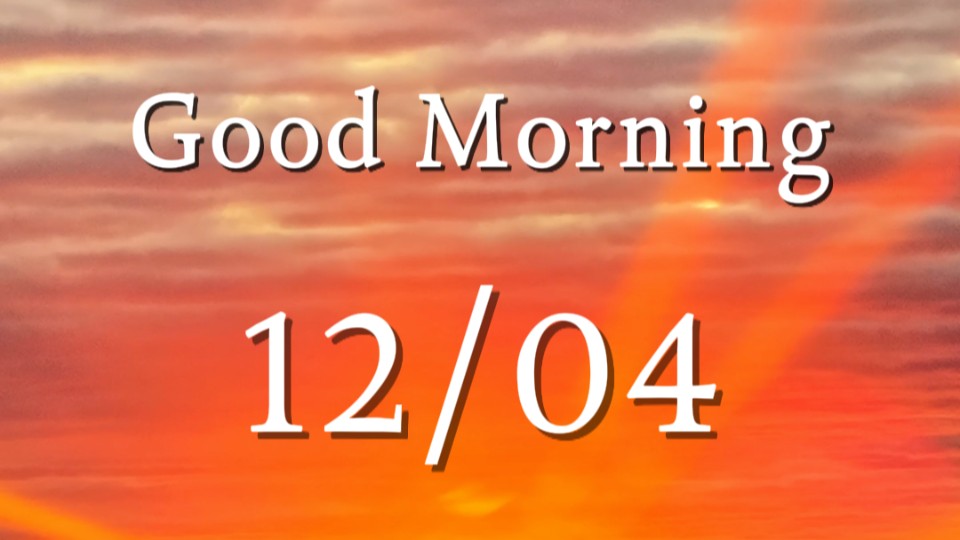 Rice spikes sway in breeze between light and shadow