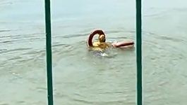 这是一笔英雄的“订单”！外卖小哥跳河勇救落水者 | 暖心画