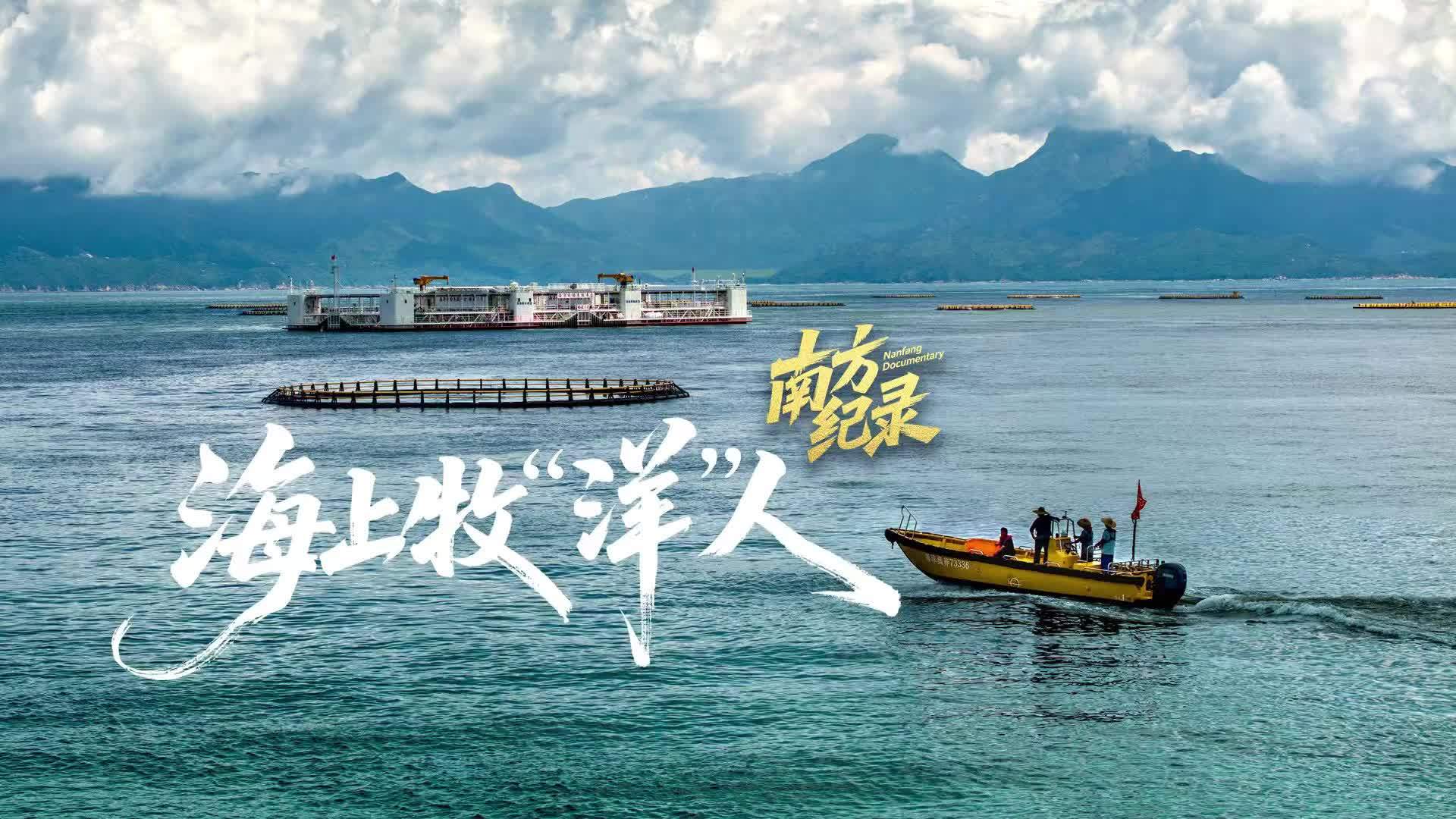 挺进深蓝，海上牧“洋”人的故事，值得被看见！