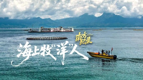 挺进深蓝，海上牧“洋”人的故事，值得被看见！