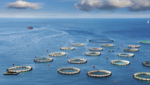 陆海统筹 向海图强——广东海洋经济破浪前行 陆海统筹 向海图强——广东海洋经济破浪前行