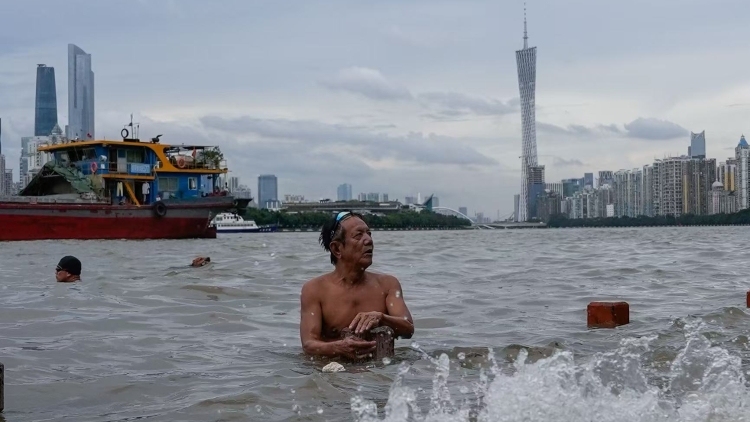 珠江广州河段将迎今年最高水位的天文大潮