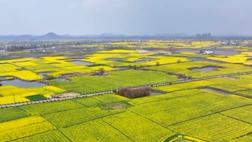 广东今年第四批24个全域土地综合整治实施方案获省级批复
