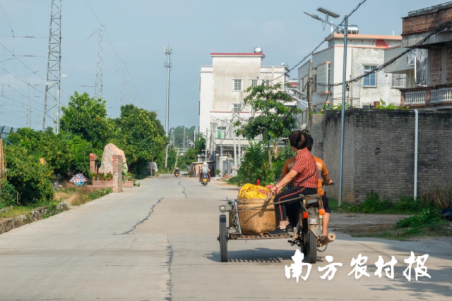 河唇镇是粤西地区的“百果之乡”，留在镇上的大部分人都做着与水果有关的行业。
