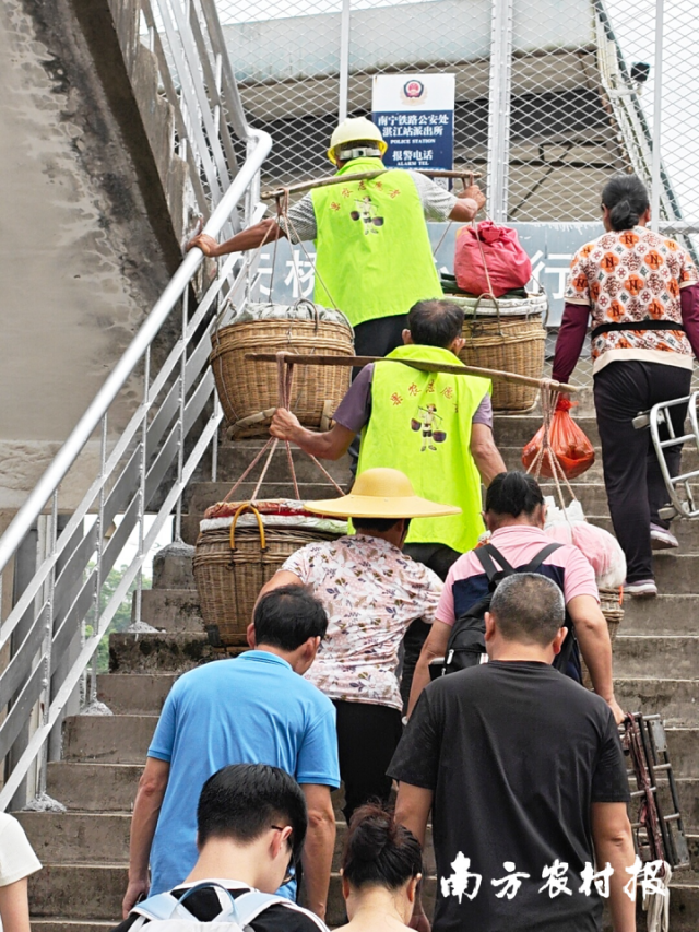 河唇站人行天桥暂未开通电梯，果农需人力挑运。