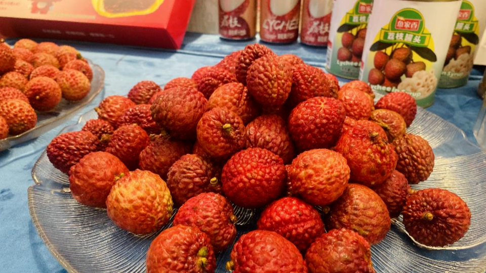 Maoming leads east, west, north Guangdong in GDP during 14th Five-Year Plan