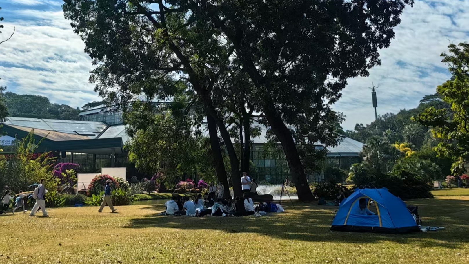 Guangdong experiences unseasonable winter warmth