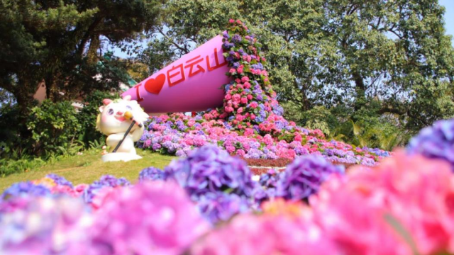 Explore stunning flower seas along Guangzhou metro loop line