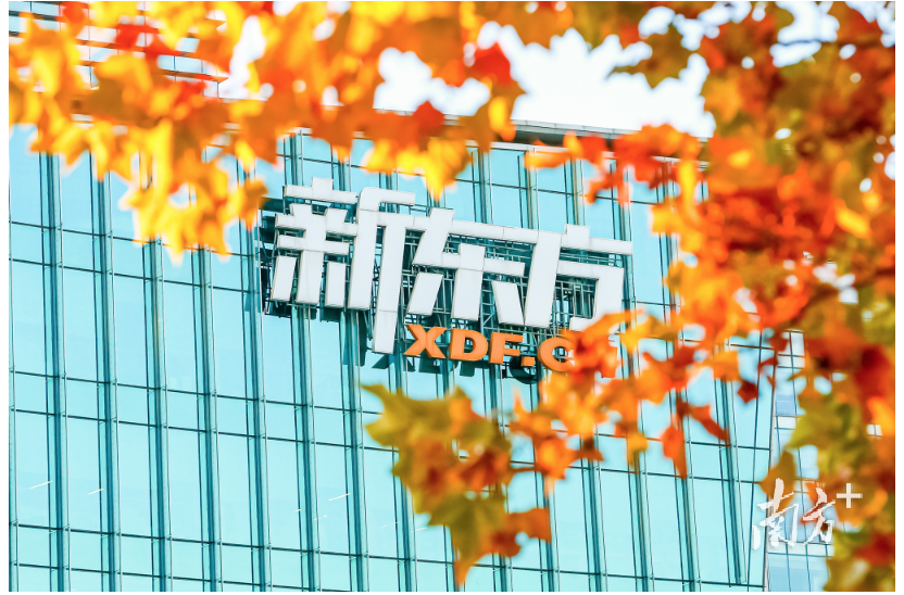新东方