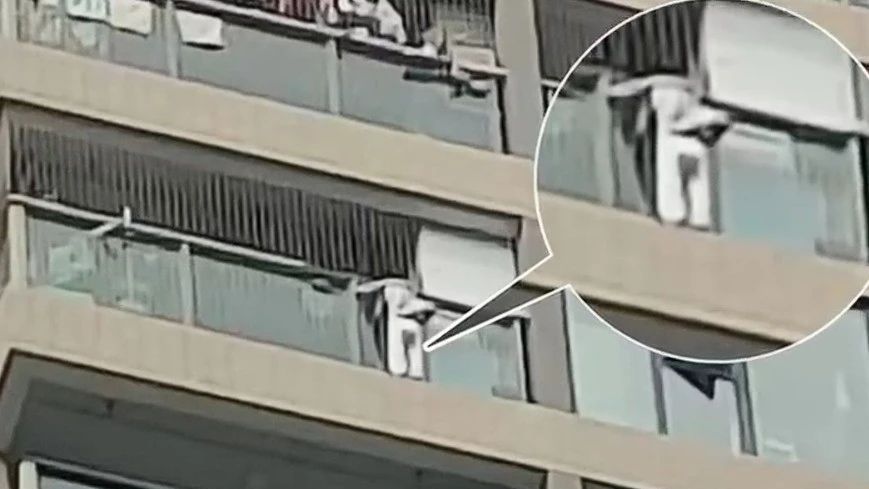 警惕！暑期“小神兽”接连高空涉险!