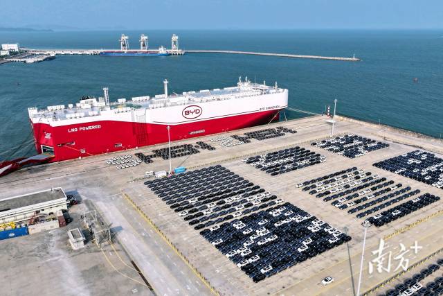 BYD’s automobiles waiting at port