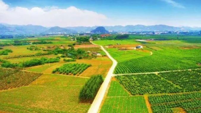 2023年中央一号文件公布 提出做好2023年全面推进乡村振兴重点工作