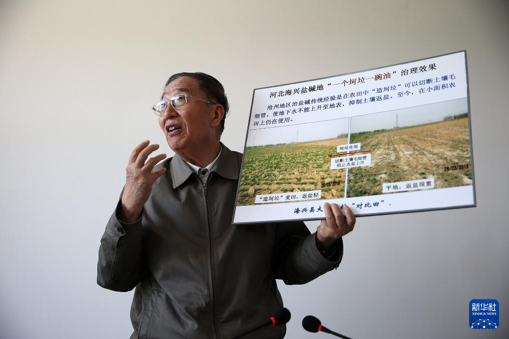 李振声院士在介绍河北海兴盐碱地治理的前后对比照片（2014年5月5日摄）。 新华社记者 金立旺 摄