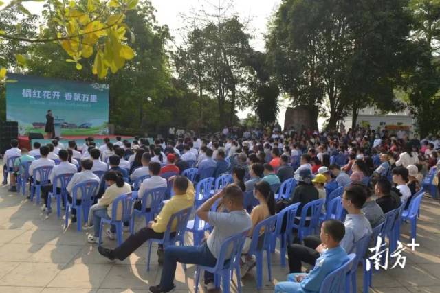 组织青年干部开展“赏花说廉”活动。