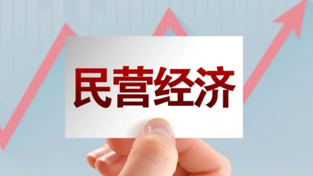 大会发言人：推动民营经济促进法尽快出台
