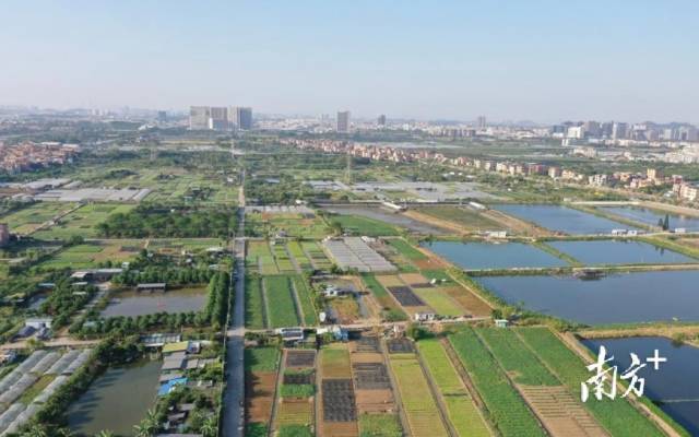 广东委员热议政协常委会工作报告，以高质量建言服务中国式现代化建设