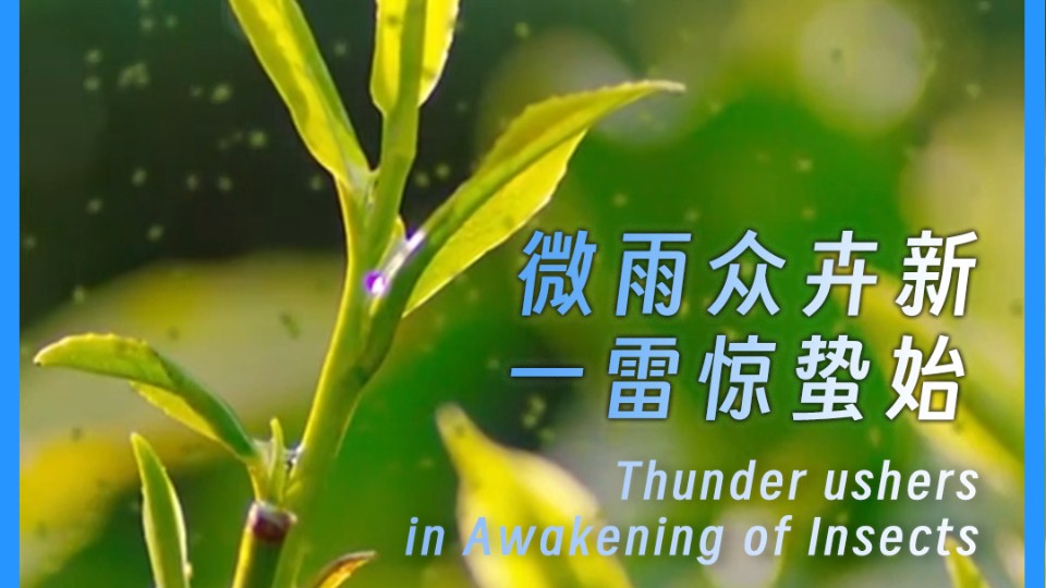 Thunder ushers in Awakening of Insects